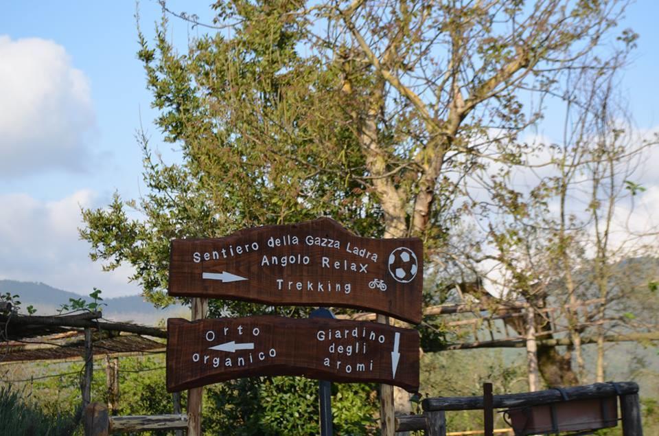 Borgo Patierno ξενώνας Conca della Campania Εξωτερικό φωτογραφία